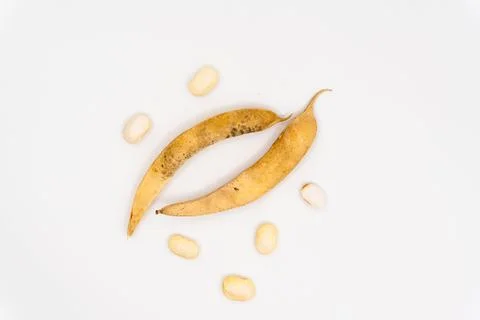 Dried beans isolated on white background. bean pods Stock Photos