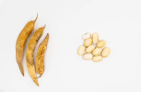 Dried beans isolated on white background. bean pods Stock Photos