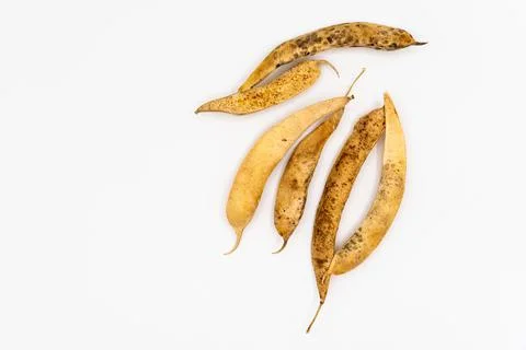 Dried beans isolated on white background. bean pods Foto stock