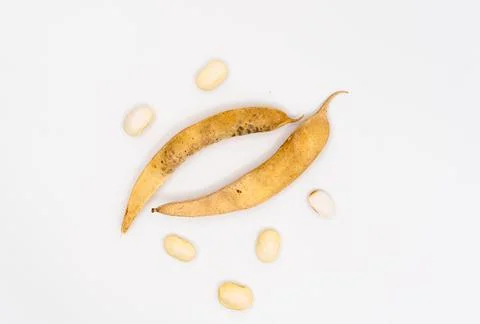 Dried beans isolated on white background. bean pods Stock Photos