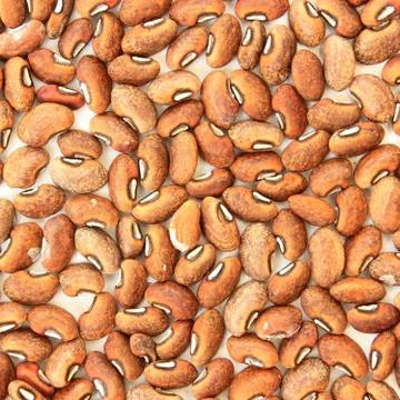 Dried beans. Stock Photos