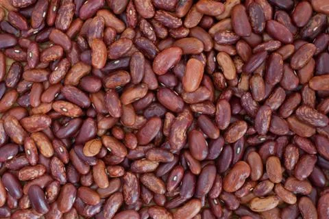 Dried beans Foto stock