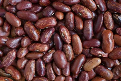 Dried beans Foto stock