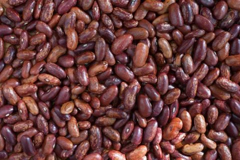 Dried beans Foto stock