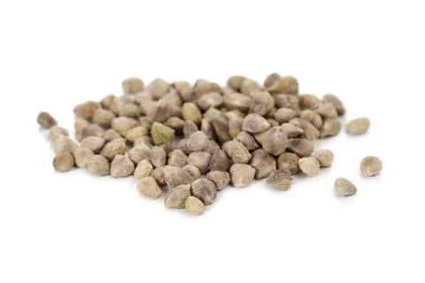 Dried beans Stock Photos