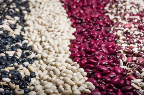 Dried beans in several colors Stock-Fotos