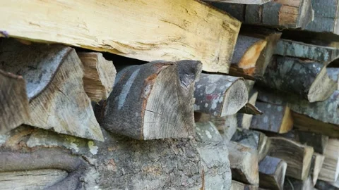 Dried beech firewood stack Stock Footage 161256929