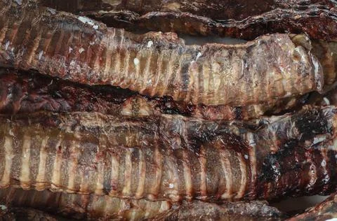 Dried beef trachea, full frame. Natural Chewable Pet Treats. Close-up. Select Stock Photos