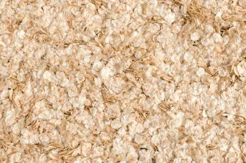 Dried beige petals background. Backdrop, copy space, texture. Stock Photos