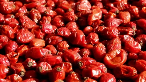 Dried berries briar Stock Footage 96248388