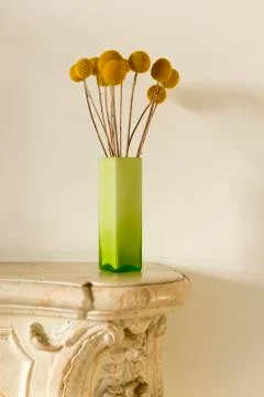 Dried Billy Buttons in Rectangular Vase on Marble Foyer Table Stock Photos