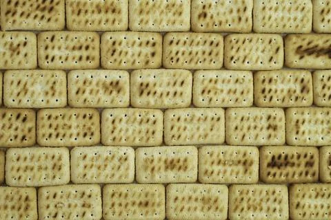 Dried biscuits arranged like wall bricks Stock Photos