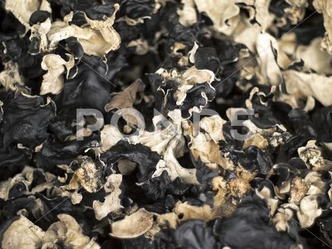 Dried black fungi Stock Photos
