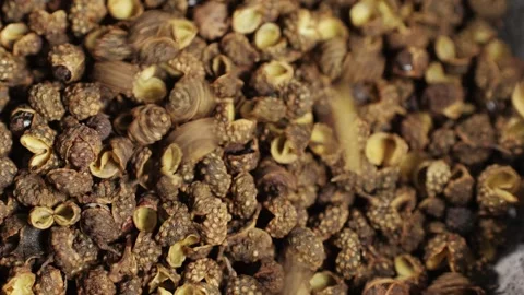 Dried black pepper falling down in grey plate top view. A bunch of natural black Stock Footage 258374258