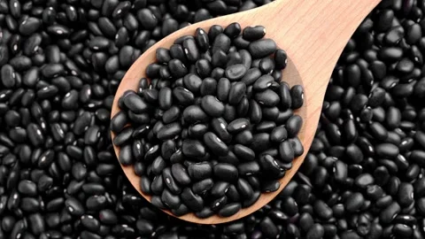Dried black turtle beans in wooden spoon. Stock Footage 342529261