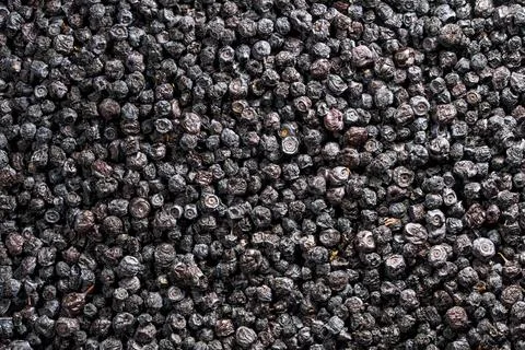 Dried blueberries texture full frame background, closeup Stock-Fotos