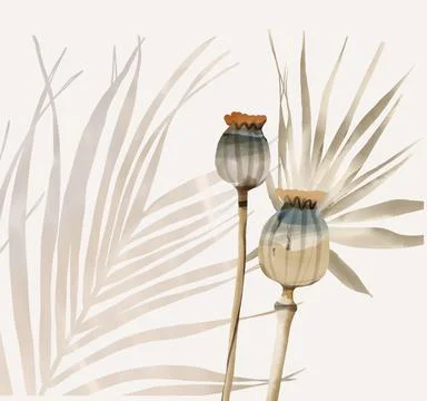 Dried Boho Flowers Compositions design for greeting Stock Illustration