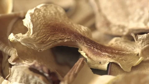 Dried Boletus Mushrooms (Macro) Video stock 103442955