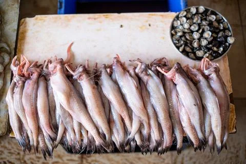 Dried bombay duck lying on table next to plate of breezy molluscs. Bunches of Stock Photos
