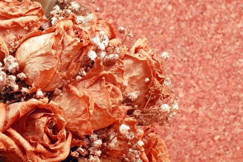 Dried bouquet Stock Photos