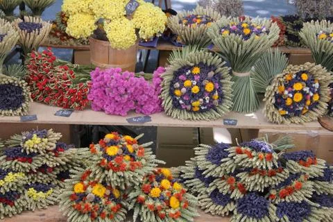 Dried bouquets Foto stock