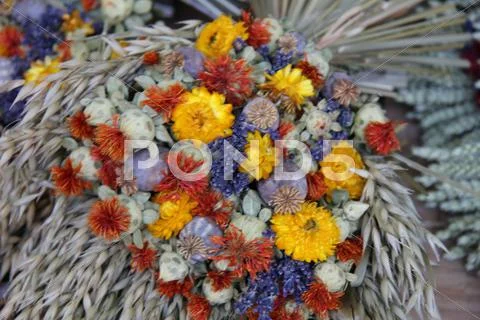 Dried bouquets Stock Photos