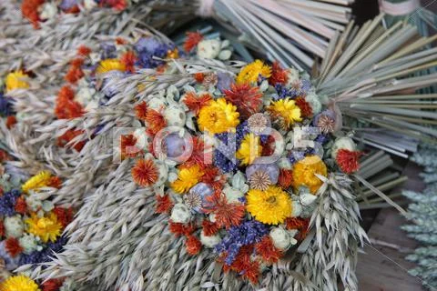 Dried bouquets Stock Photos