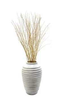 Dried branches Stock Photos