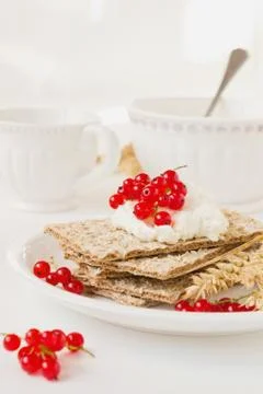 Dried bread with cottage cheese Stock Photos