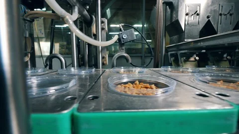 Dried breads packed into plastic containers on a working line. Food packing Stock Footage 111646666