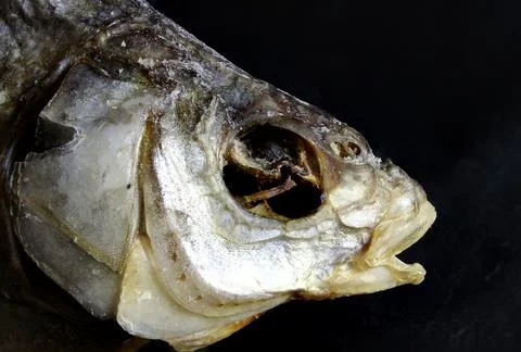 Dried bream head Stock Photos