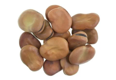 Dried Broad Beans Stock Photos