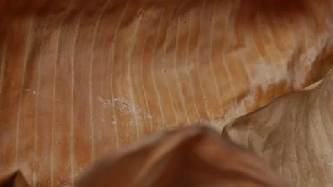 Dried Brown Banana Leaf Close-Up Macro Texture Vidéo 337291869