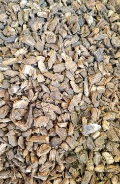 Dried burdock root scattered on a flat surface showing its rough texture an.. Fotos de archivo