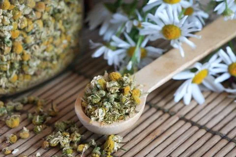 Dried camomile Stock Photos