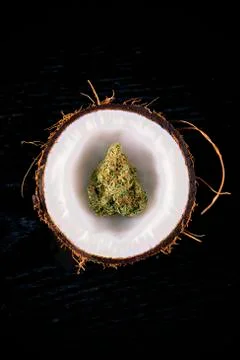 Dried cannabis bud inside an opened coconut half - medical marijuana concept Stock Photos