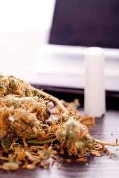 Dried Cannabis on Rolling Paper with Filter Stock Photos