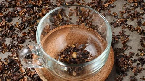 Dried cascara coffee cherry husks fall into clear glass cup for brewing herbal Stock Footage 346200460