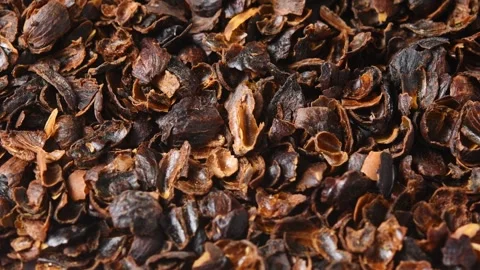 Dried cascara coffee cherry husks rotate close up to show natural texture for Stock Footage 346200493