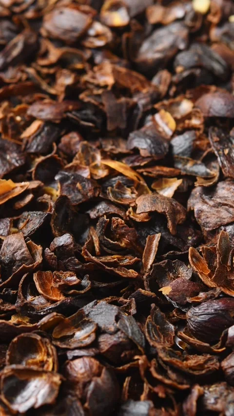 Dried cascara coffee cherry husks rotate in macro view to show natural texture Stock Footage 346200608