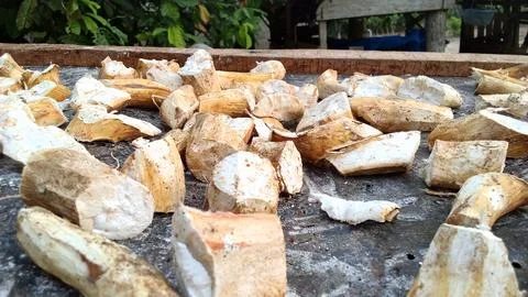 Dried cassava Stock Photos