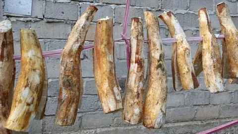 Dried cassava Stock Photos