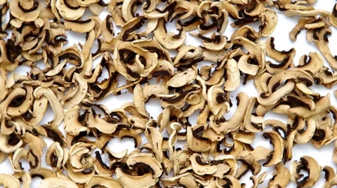 Dried champignons Stock Footage 36647805