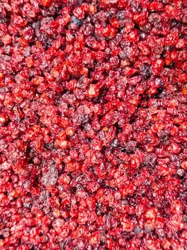 Dried cherry close-up texture Stock Photos