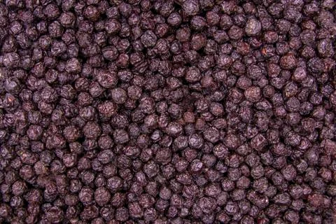 Dried cherry. Stock Photos