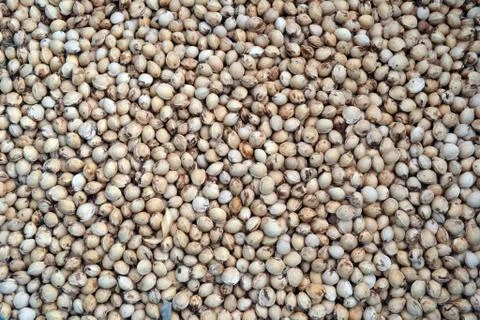 Dried cherry seeds, background Stock Illustration