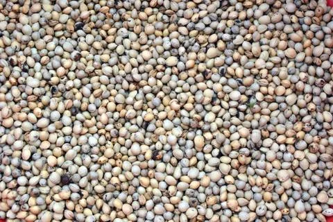 Dried cherry seeds, background Stock Illustration