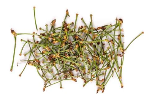 Dried Cherry Stems Foto stock