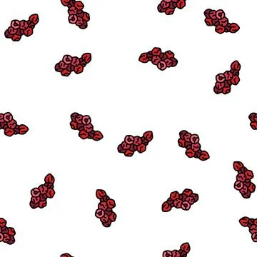 Dried cherry vector seamless pattern Stock Illustration