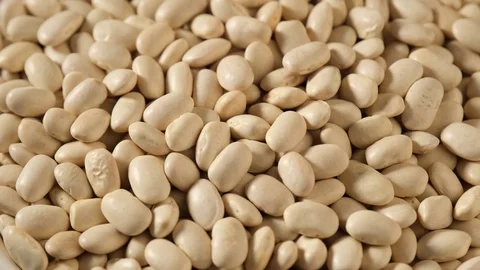 Dried chickkidney beans rotating Stock Footage 126105330